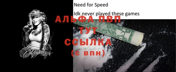 амф Гусиноозёрск