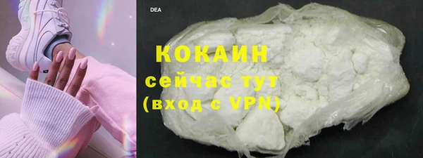 сатива Гусев