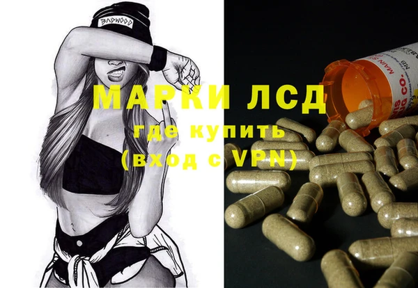 сатива Гусев