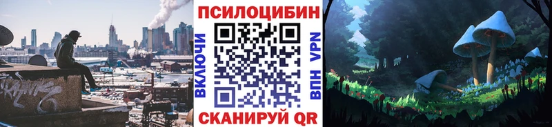 Псилоцибиновые грибы MAGIC MUSHROOMS  Купить  Шилка 