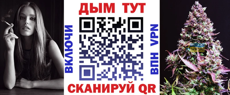 Купить закладки  Шилка  Каннабис индика 